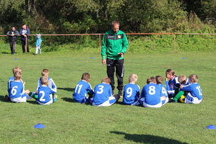 开云·体育官网-美洲杯争夺队：攻守兼备，战术百变，美洲杯的比赛